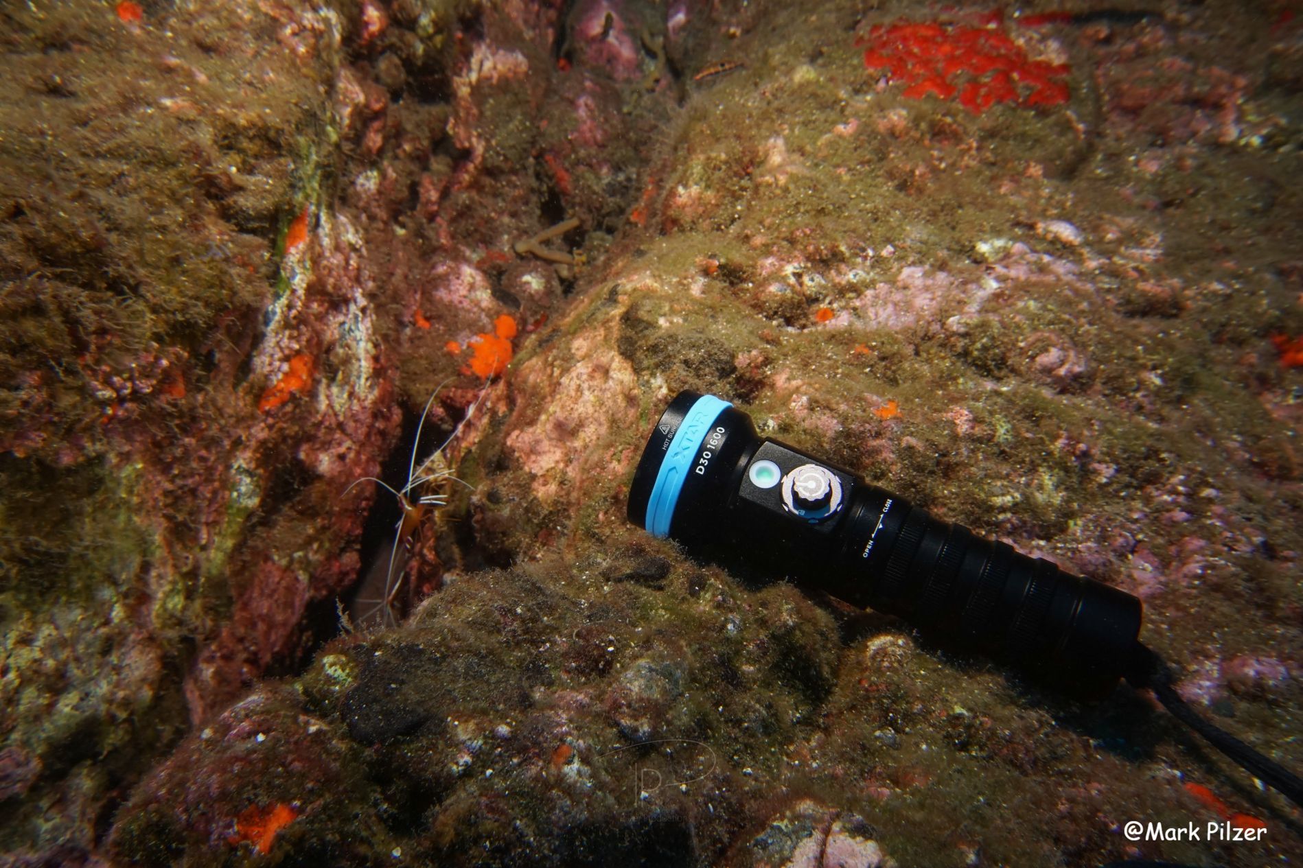 0e35f66f-45fb-4c8b-8ccf-005452ff8e83 XTAR D30 1600 Dive Light focus light for underwater photography