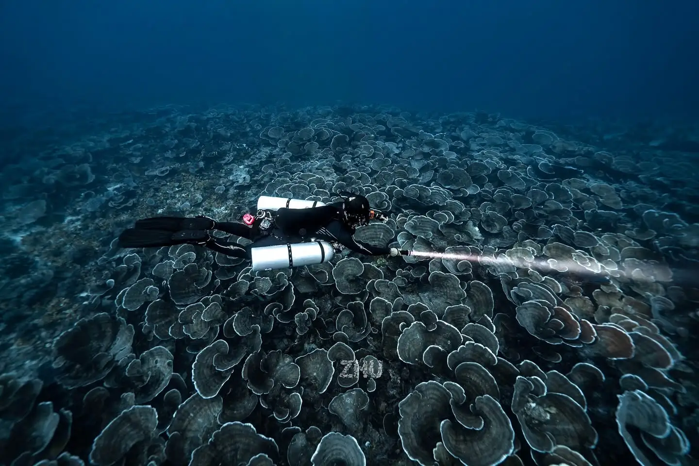 D26 wreck diving in Malaysia - illuminating wreck structure