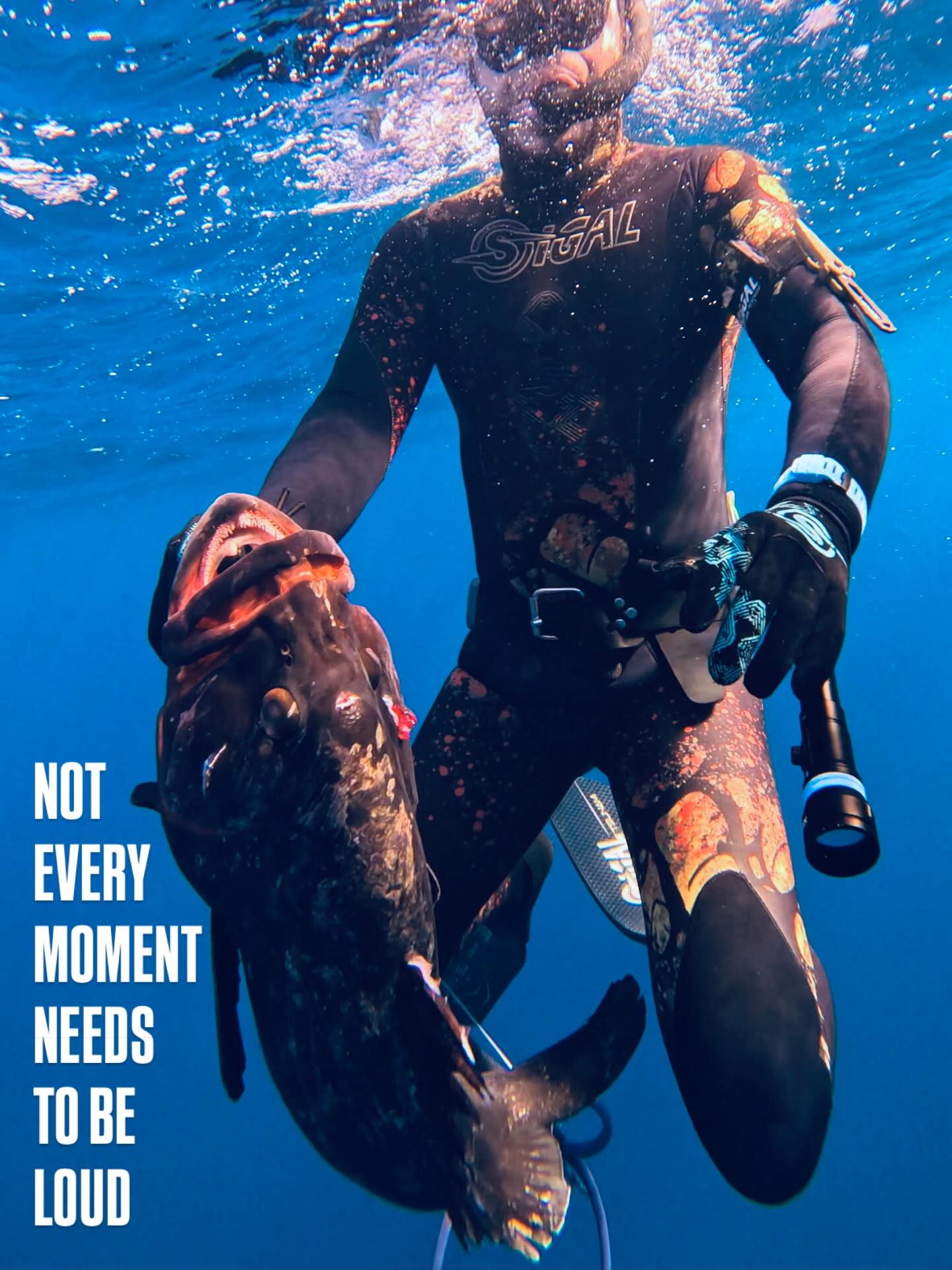 DH1 spearfishing Morocco