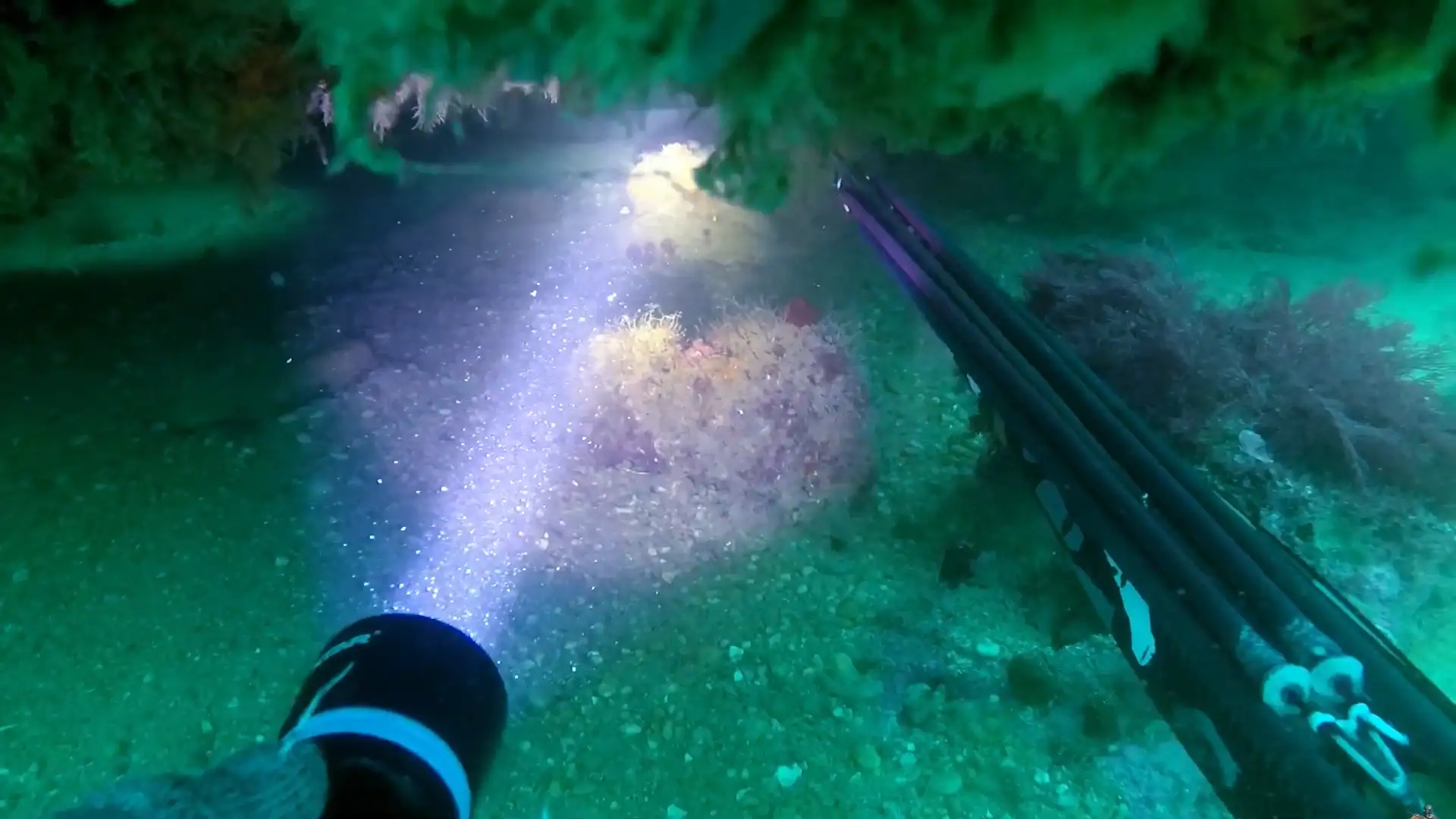 DS1 beam pattern