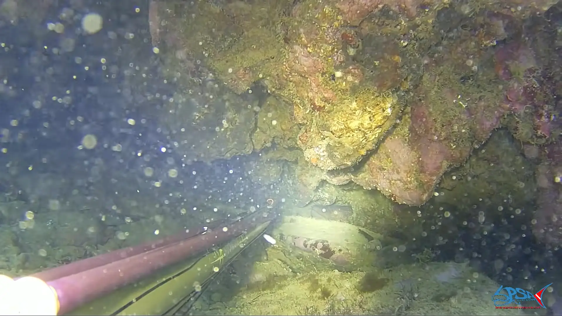 5° beam cuts through murky water
